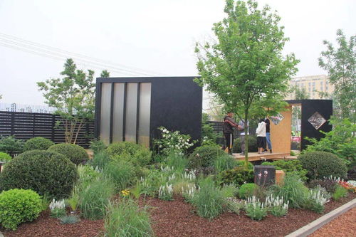 解讀園林綠化施工全過程，教你如何成為綠化行業(yè)大佬