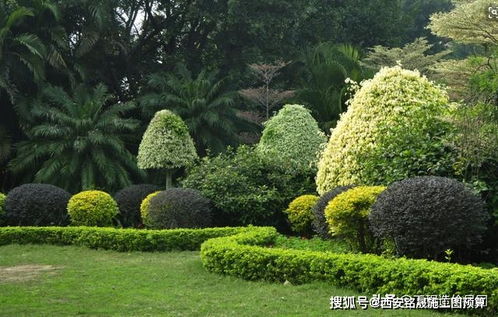 園林綠化工程造價組成及計算依據分析